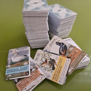 Wingspan fanmade set (bigger set of cards)